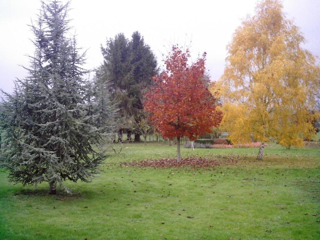 Au Jardin Fleuri Villa Vauxaillon Eksteriør billede