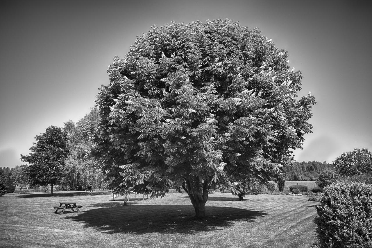 Au Jardin Fleuri Villa Vauxaillon Eksteriør billede